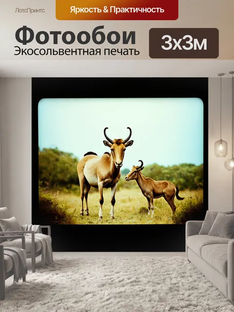 Фотообои животные в стиле полароидная фотография