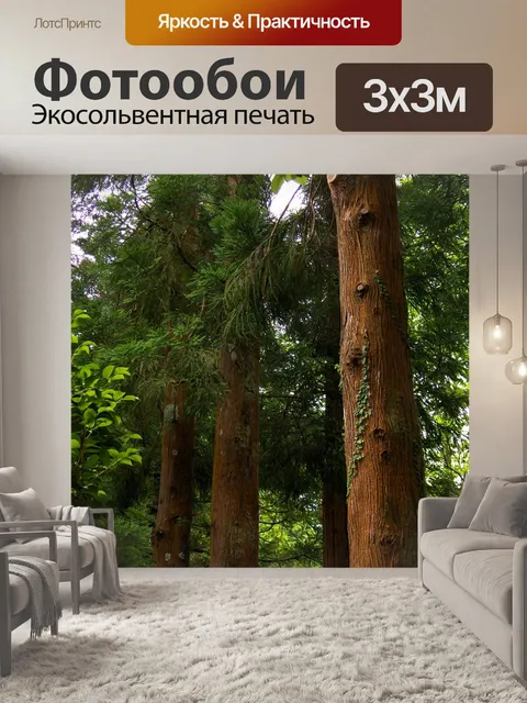 Фотообои Деревья