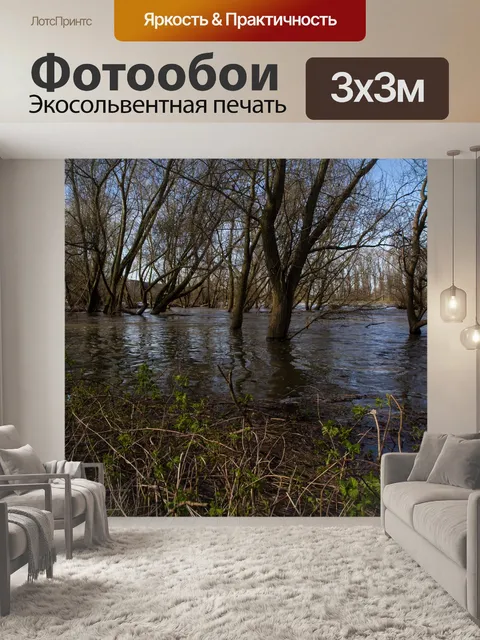 Фотообои Рейн