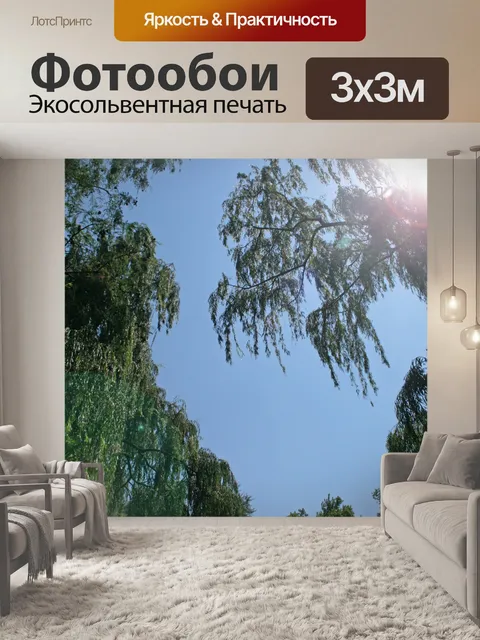 Фотообои ивовые деревья с блик