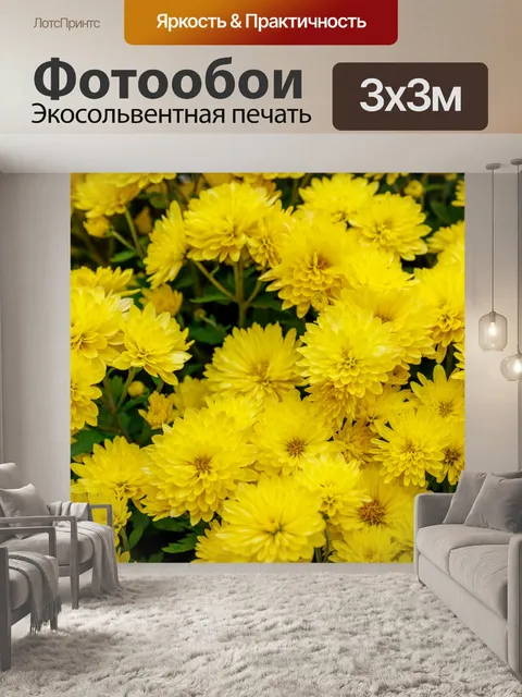 Фотообои желтые цветы хризантемы