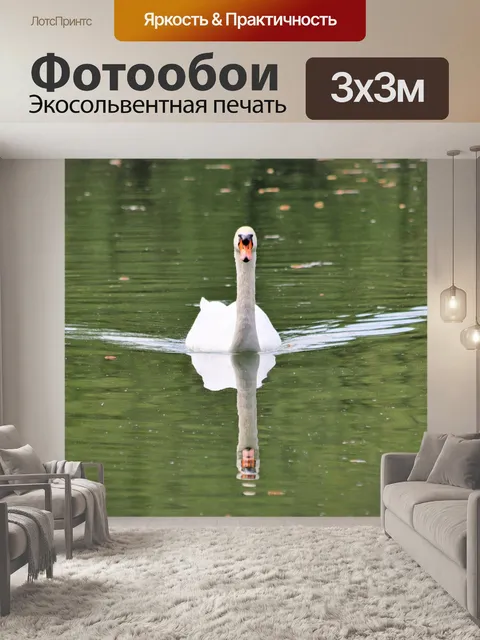 Фотообои Белый лебедь