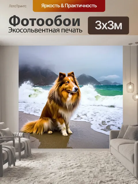 Фотообои колли сидит на берегу моря, любуясь бушующими волнами