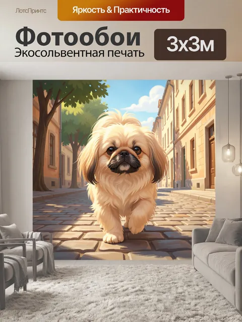 Фотообои Пушистая собака на городской улице