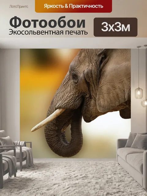 Фотообои Слон