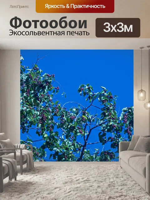 Фотообои ветви с красными фруктами на