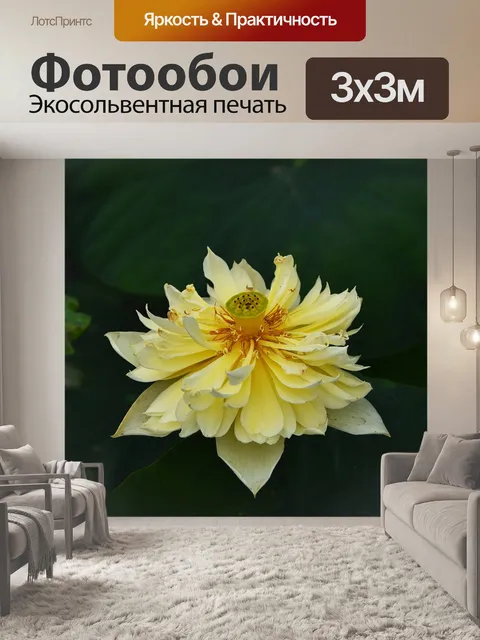 Фотообои Золотой лотос
