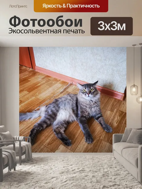 Фотообои Кошка