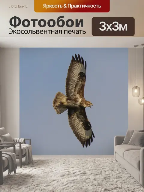 Фотообои Канюк