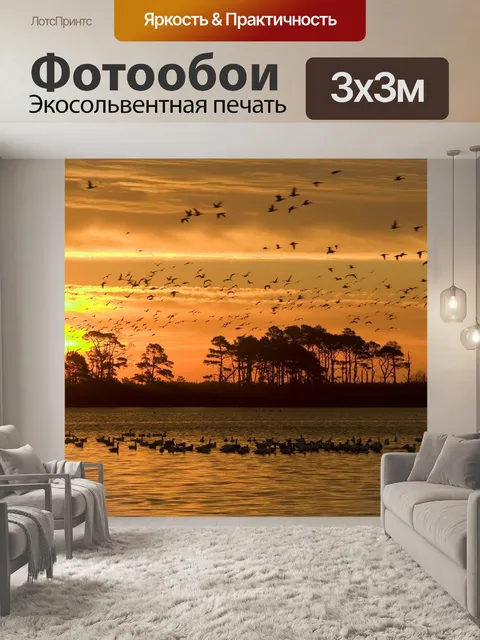 Фотообои Птицы в полете на закате
