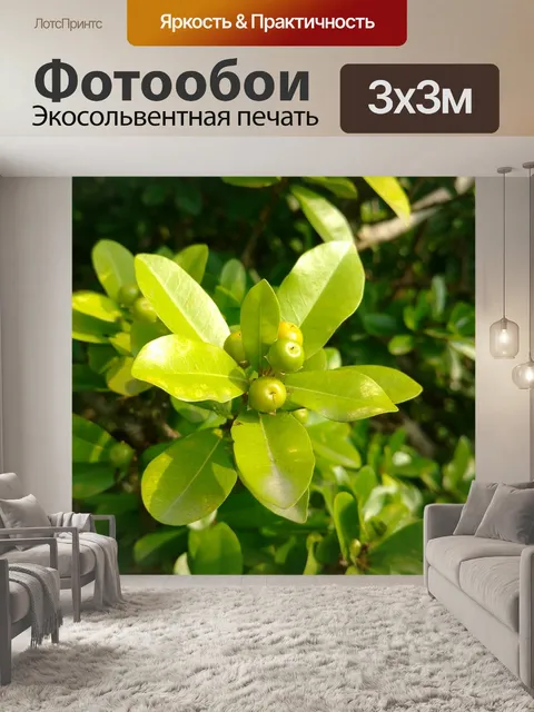 Фотообои Листья