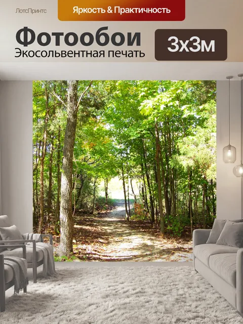 Фотообои Путь в лесах
