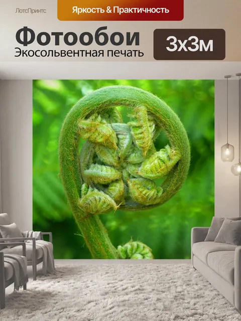 Фотообои Папоротник