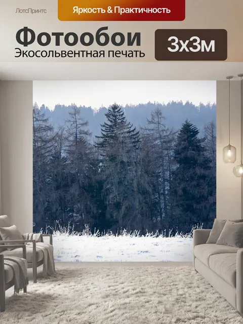 Фотообои Черный лес