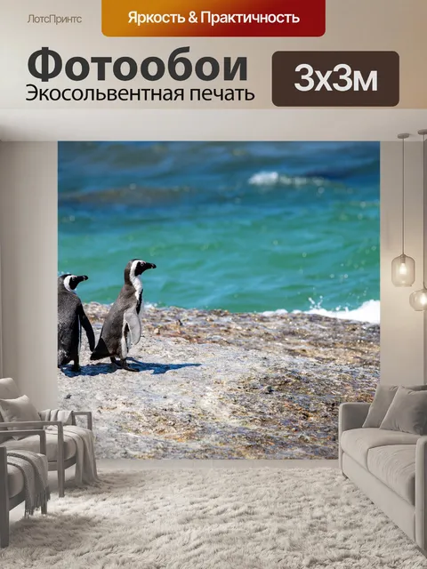 Фотообои Пингвины