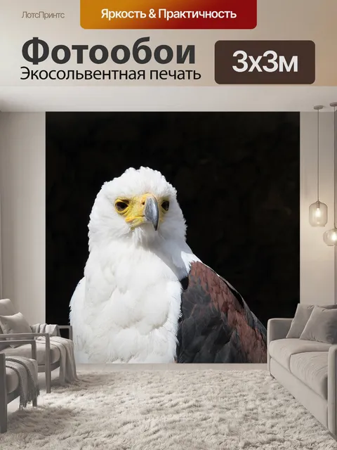 Фотообои Белоголовый орлан