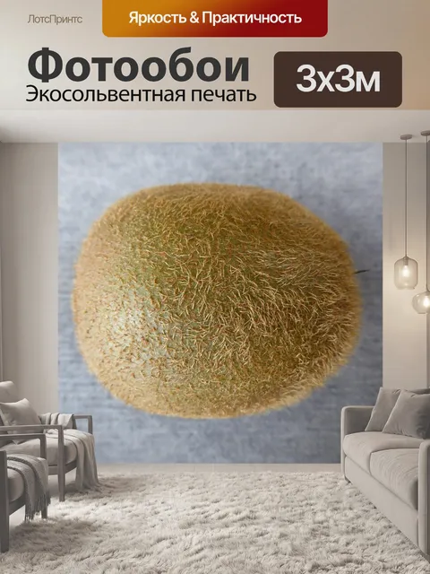 Фотообои Киви