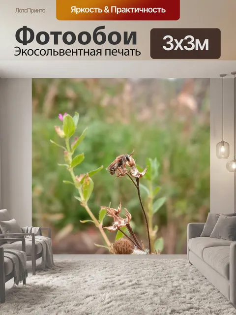 Фотообои Насекомое