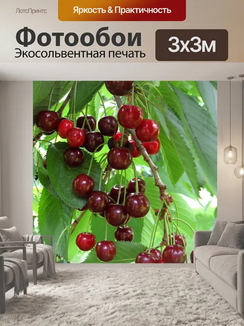 Фотообои Спелые вишни на дереве