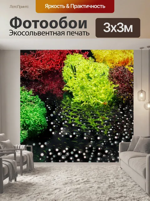 Фотообои Мох