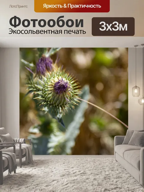 Фотообои артишок чертополох