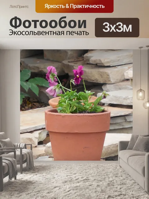 Фотообои Глиняный горшок