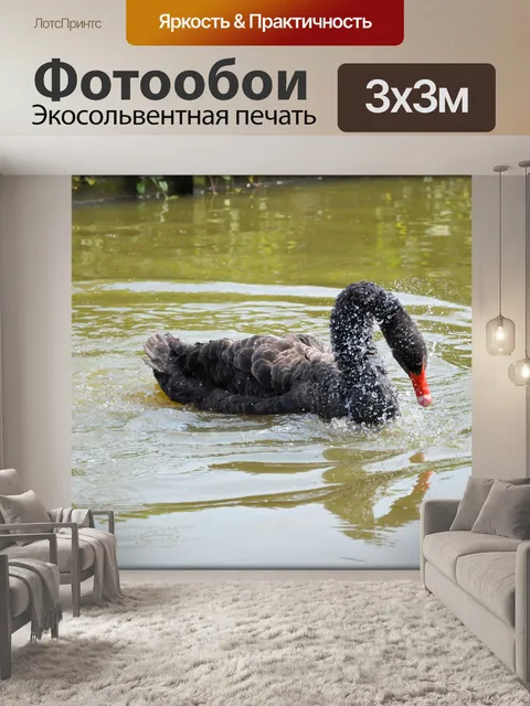 Фотообои Черный лебедь Series 2, водный балет 4