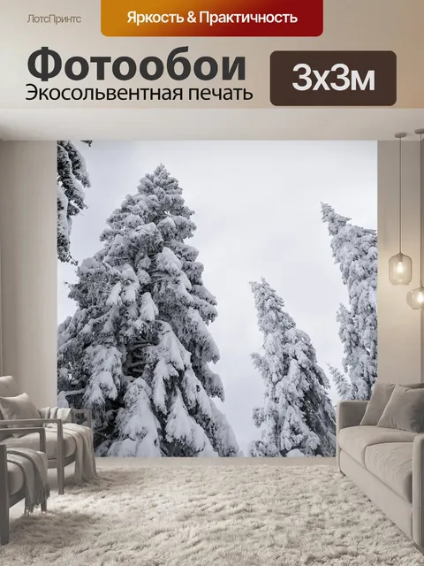 Фотообои Холодный