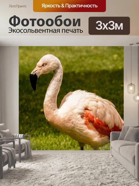 Фотообои Фламинго
