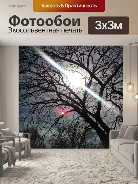 Фотообои Sky силуэт