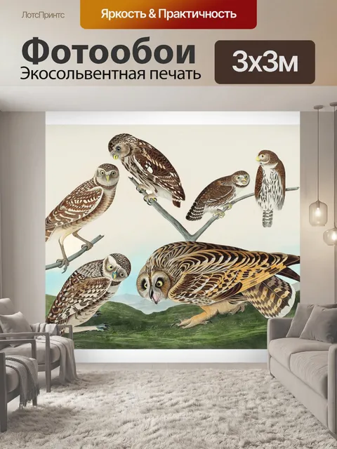 Фотообои Иллюстрация винтажных сов