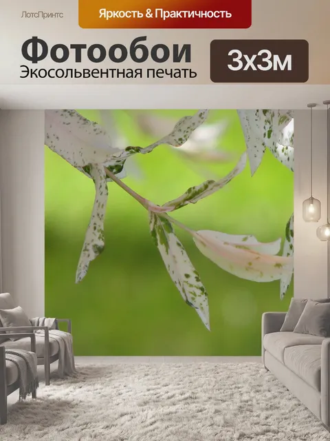 Фотообои Листья