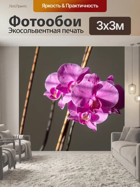 Фотообои Орхидея