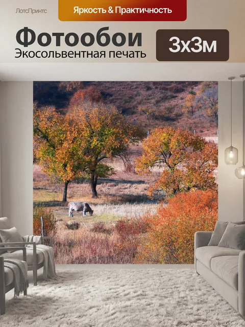 Фотообои Осень
