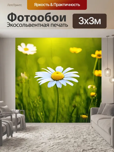 Фотообои ромашка в нежном солнечном свете