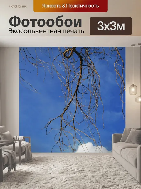Фотообои Облако