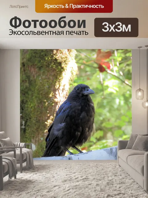 Фотообои ворона 9