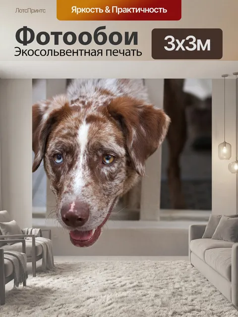 Фотообои Собака