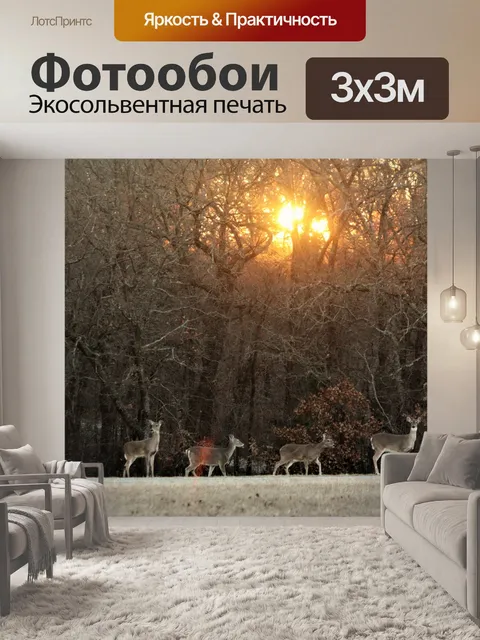 Фотообои Олень Белого хвоста на рассвете