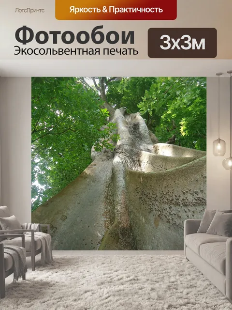 Фотообои Дерево