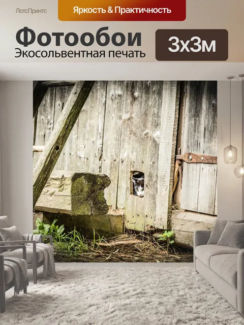 Фотообои Кот