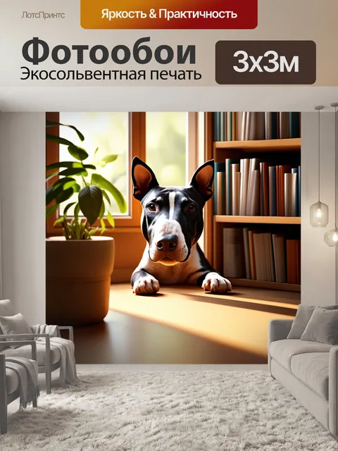Фотообои бультерьер, любопытно заглядывающий в окно уютной домашней студии, полное книг и растений