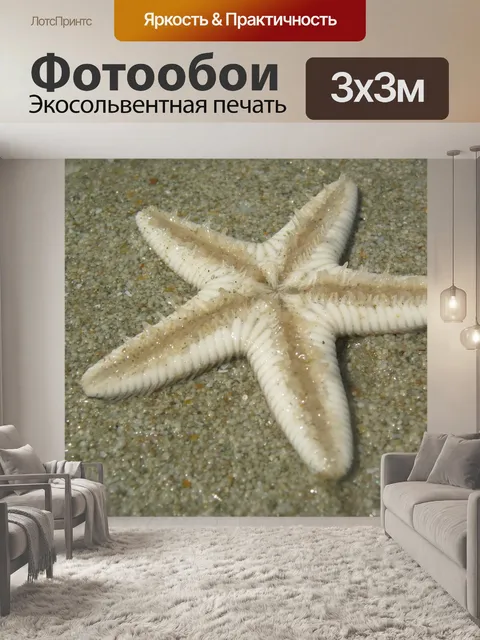 Фотообои Морская звезда