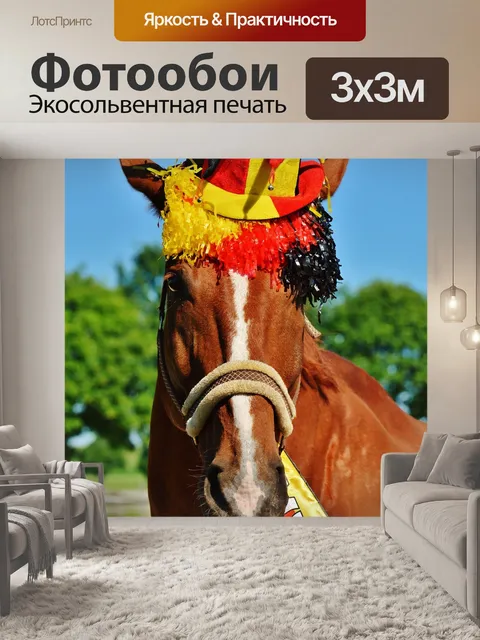 Фотообои Чемпионат европы