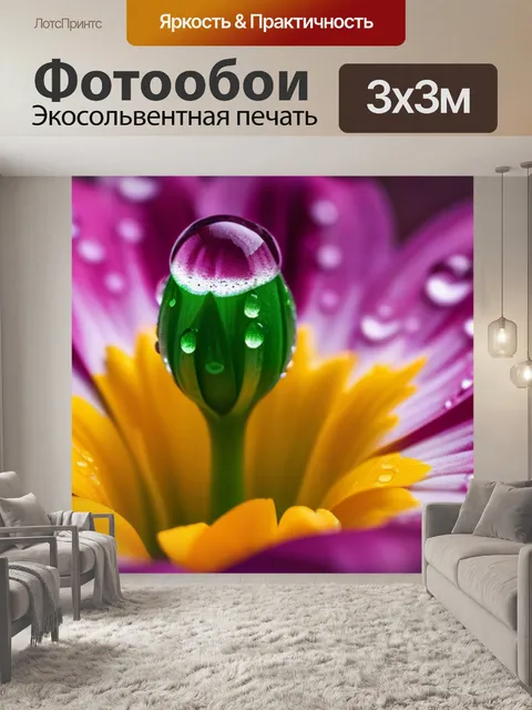 Фотообои тюльпан с каплями росы на лепестках