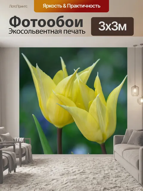 Фотообои Цветок