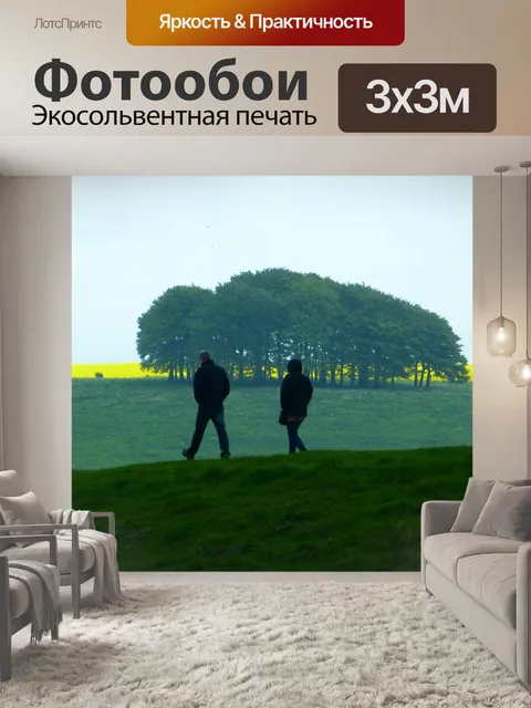 Фотообои Ходить