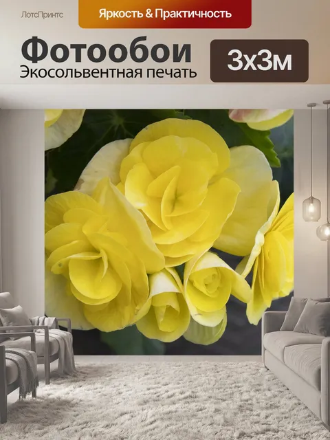Фотообои Желтые цветы