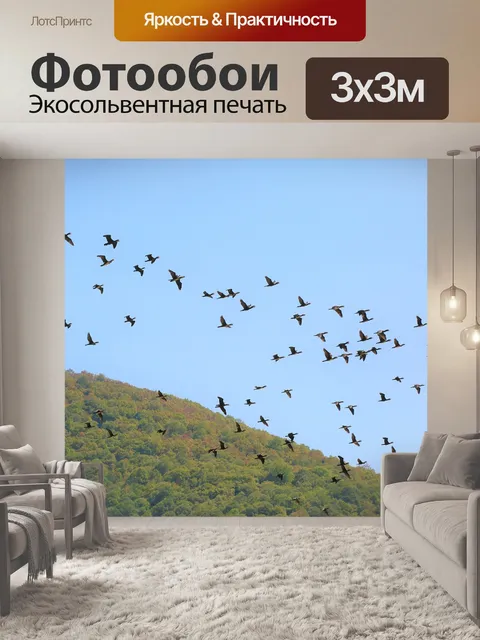 Фотообои Птицы
