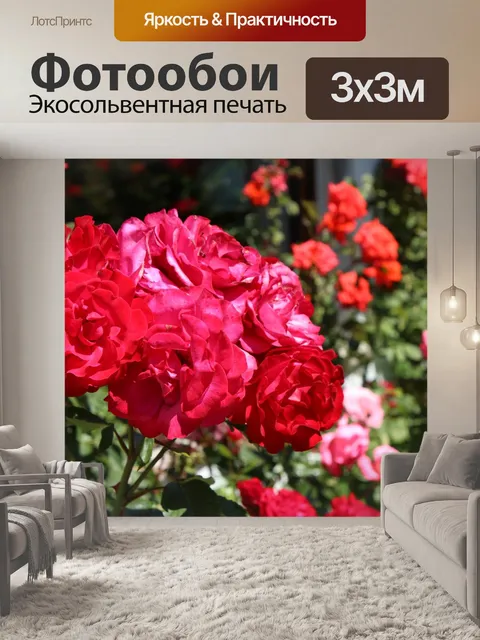 Фотообои Роза
